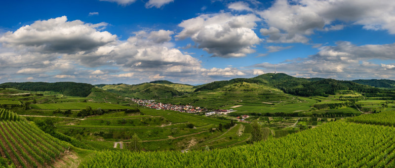 kaiserstuhl.jpg